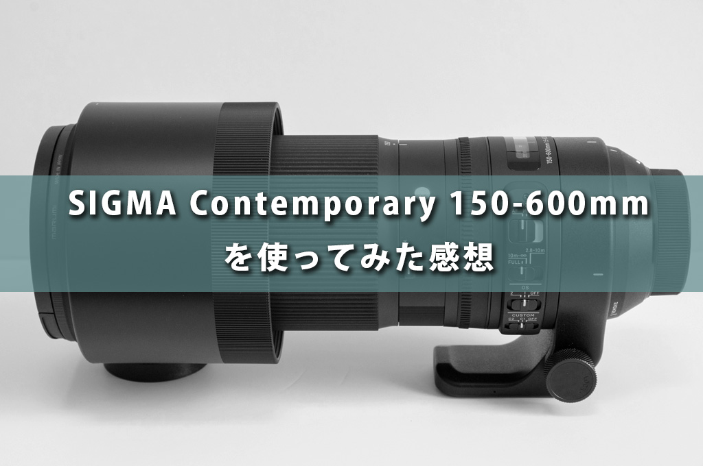 レンズ】SIGMA 150-600mm を使ってみた感想 | utukasipekopia